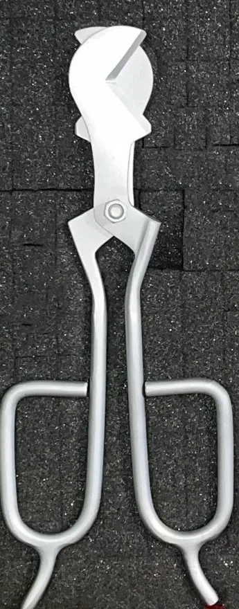 Small Diamond Shears, close view
